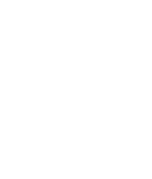 image-section2